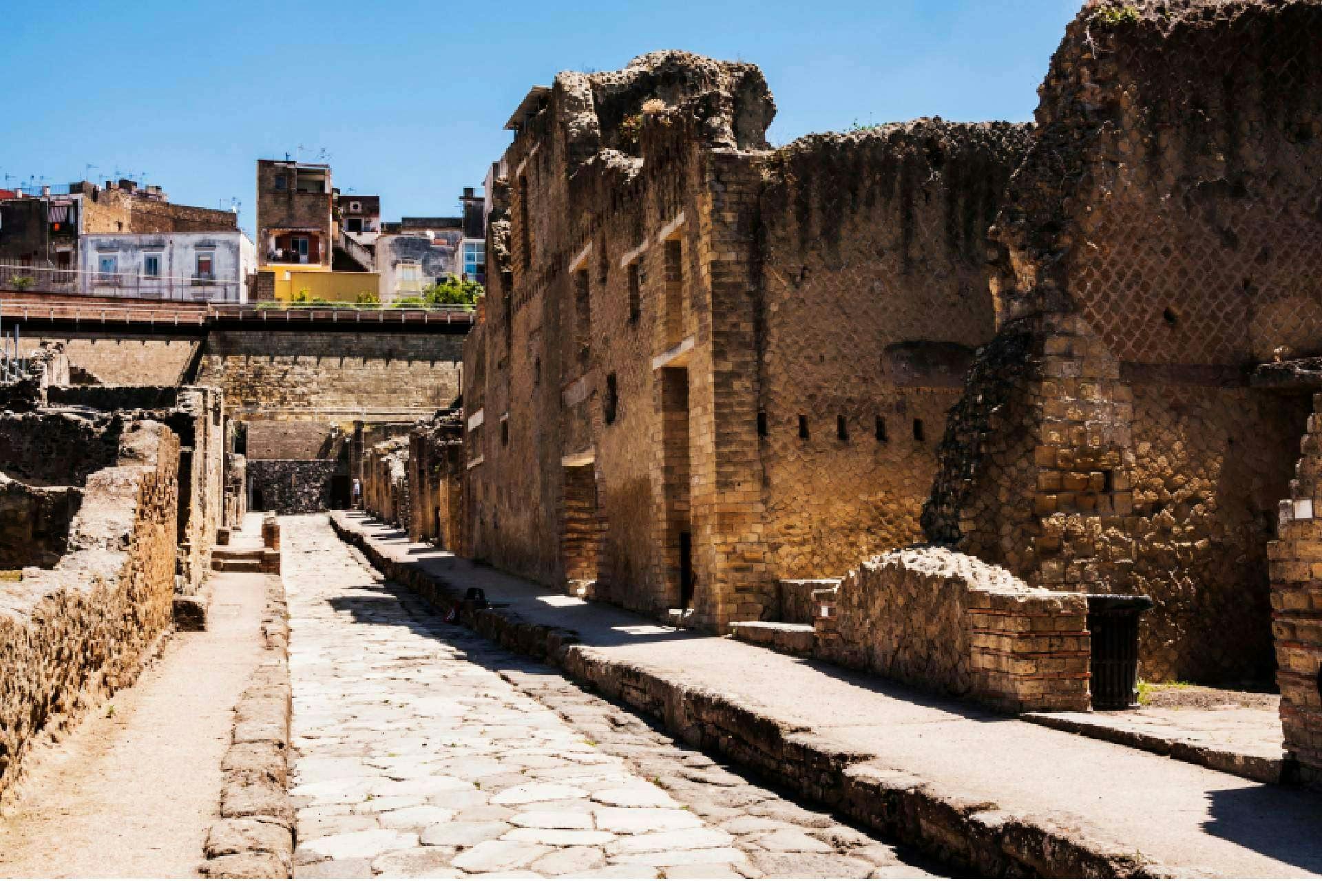 A Day inside the Vesuvian Treasures: Herculaneum and Portici Royal Palace 