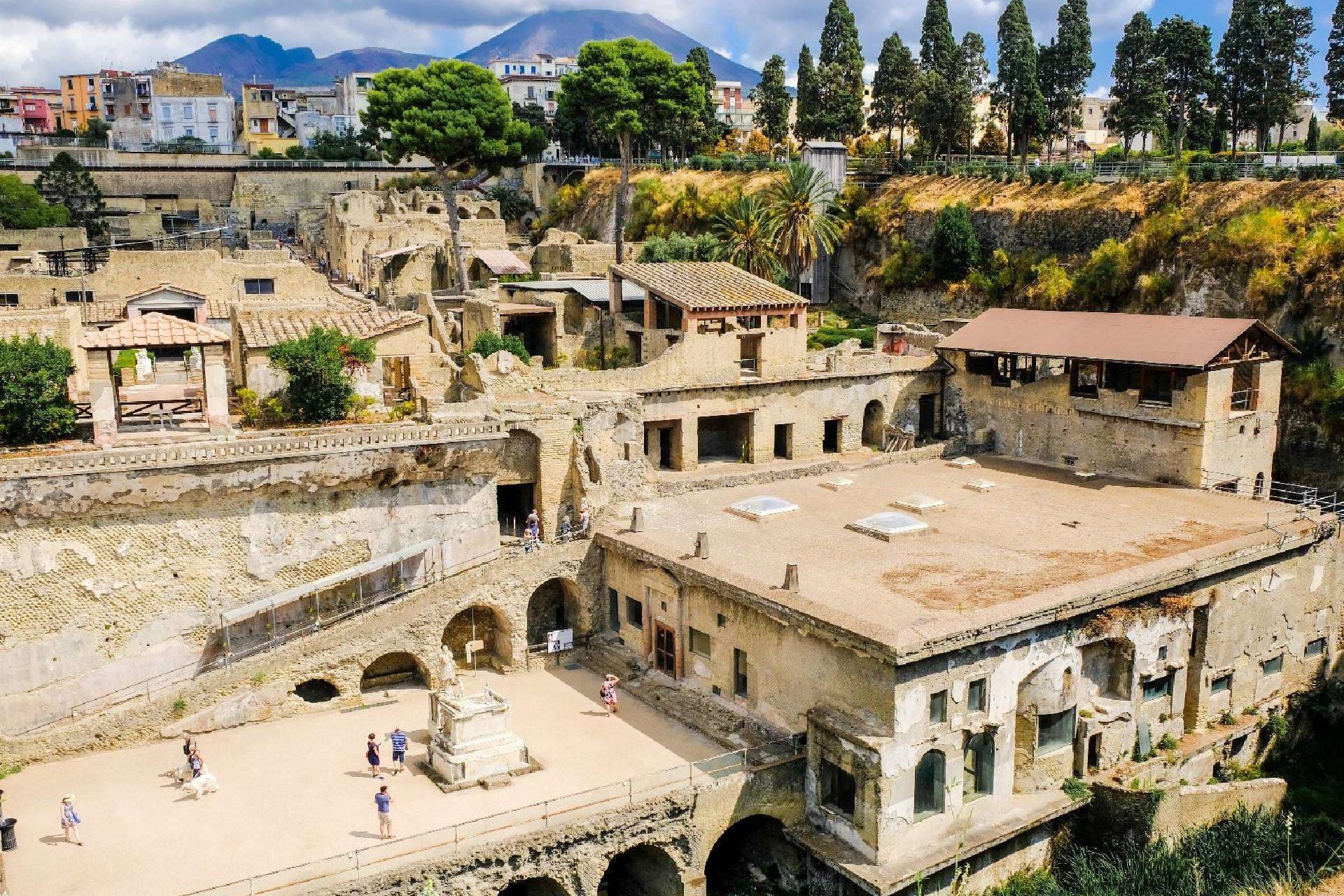 Combo Vesuvius + Herculaneum 1 day 