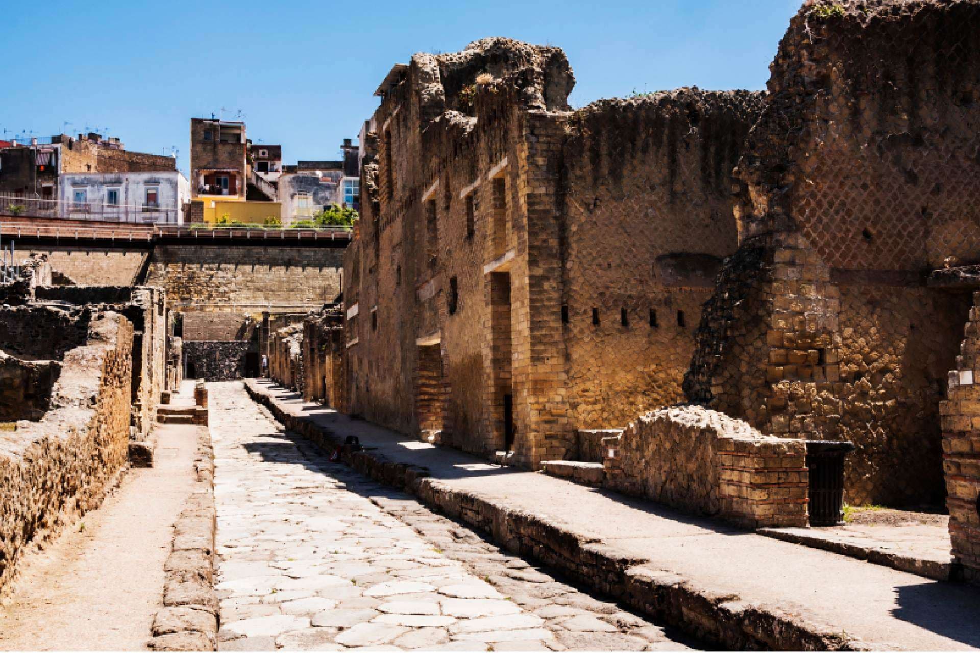 Herculaneum and Royal Palace Package